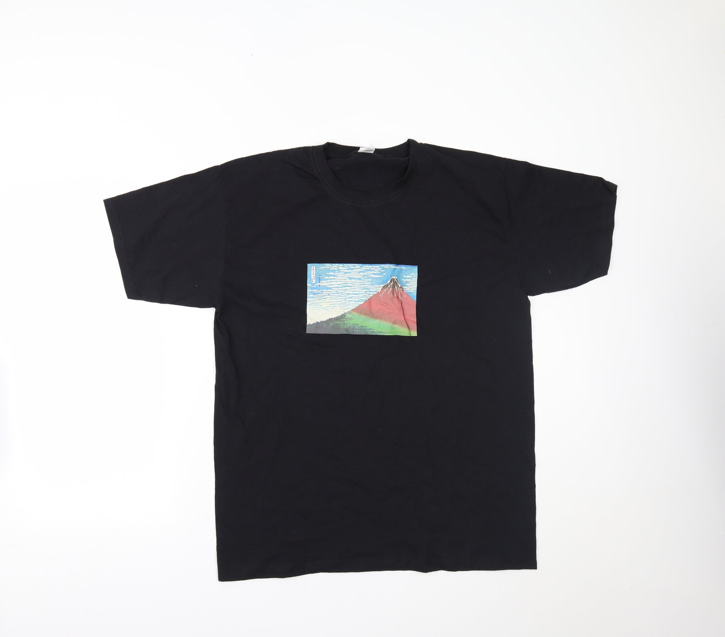 Fruit of the Loom Mens Black    T-Shirt Size L