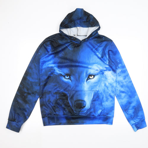 Preworn Mens Blue   Pullover Hoodie Size M