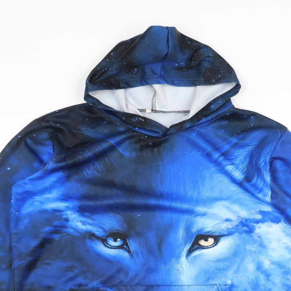 Preworn Mens Blue   Pullover Hoodie Size M