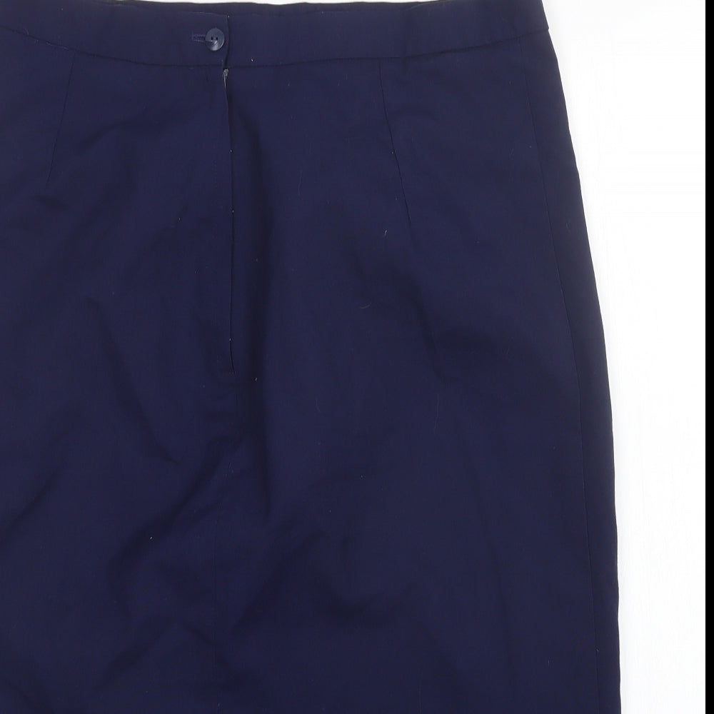 garrelle Womens Blue   A-Line Skirt Size 20