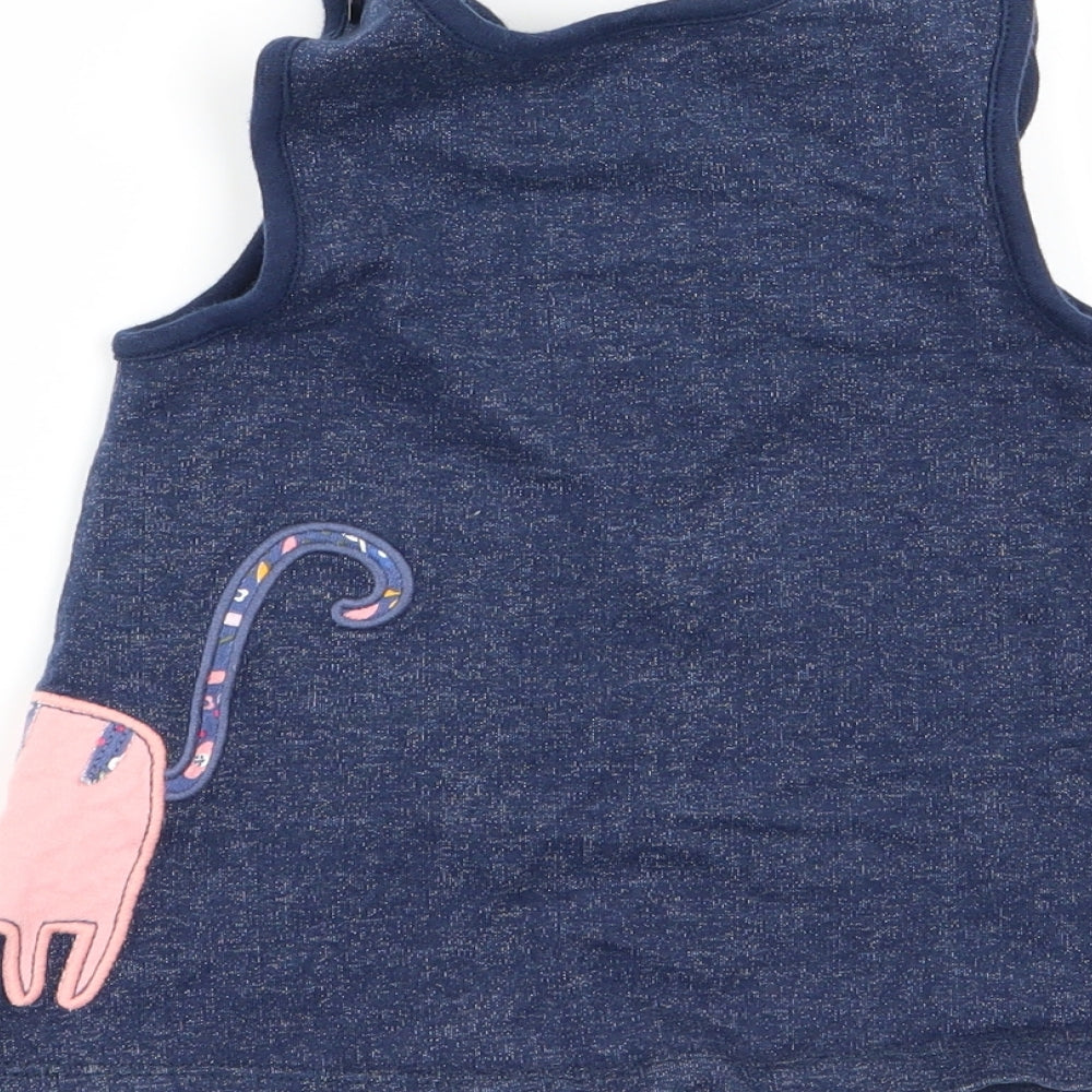 bluezoo Girls Blue   Fit & Flare  Size 3-6 Months