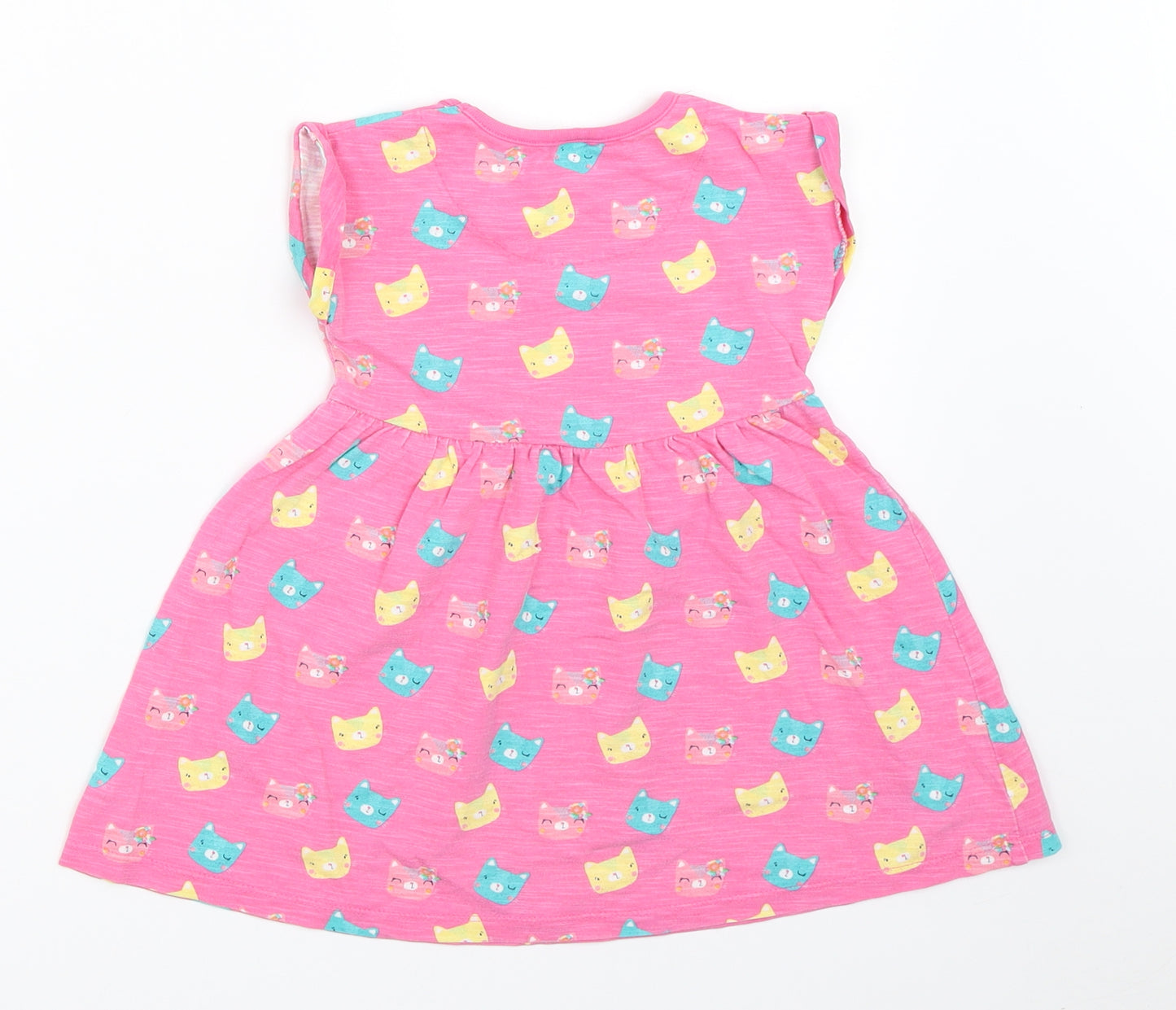 Mini Club Girls Pink   Fit & Flare  Size 9-12 Months