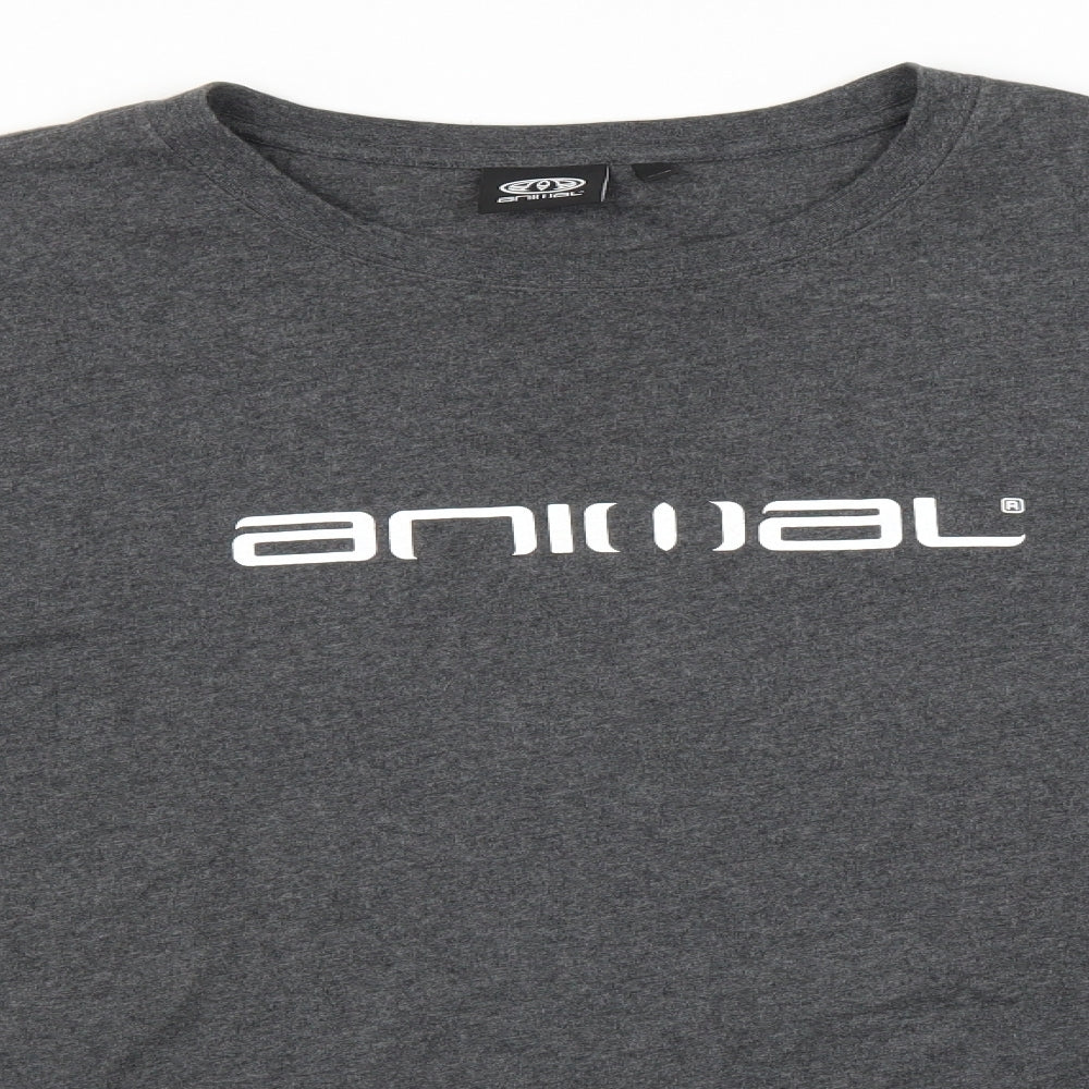 Animal Mens Grey    T-Shirt Size 2XL