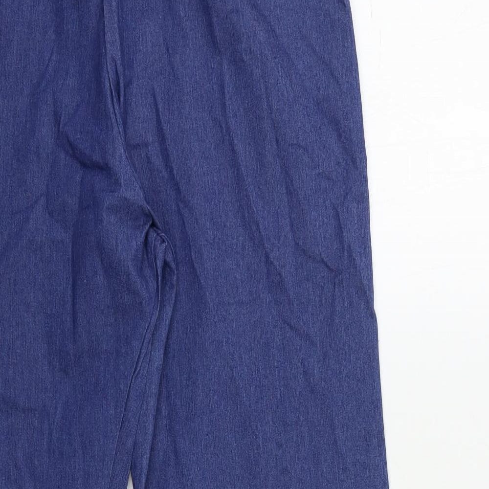 Preworn Womens Blue  Denim Skinny Jeans Size 30 in L27 in