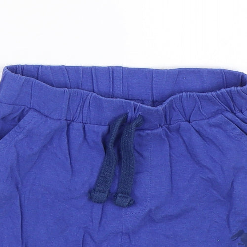 Studio Boys Blue    Sleep Shorts Size 3-4 Years  - Dinosaur