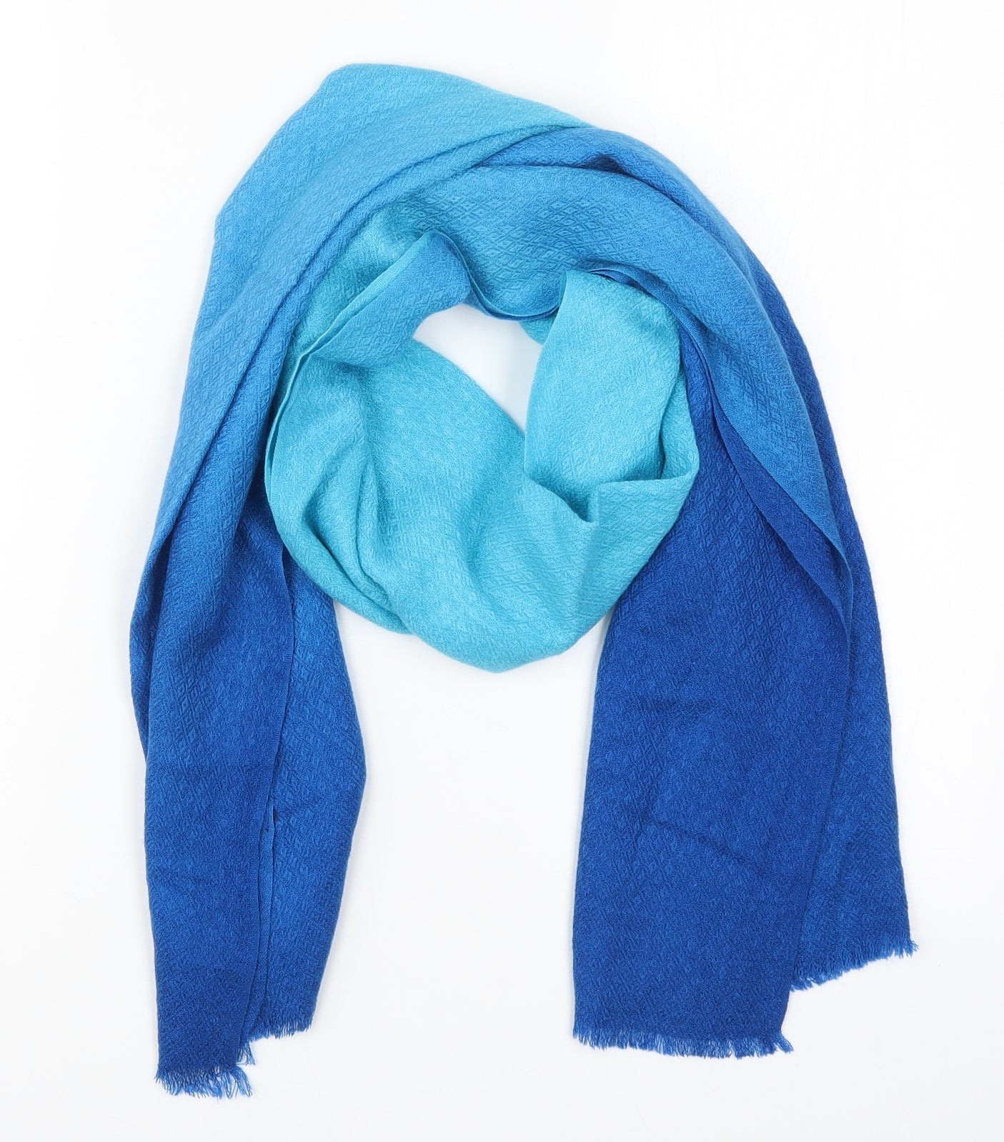 Preworn Womens Blue    Scarf