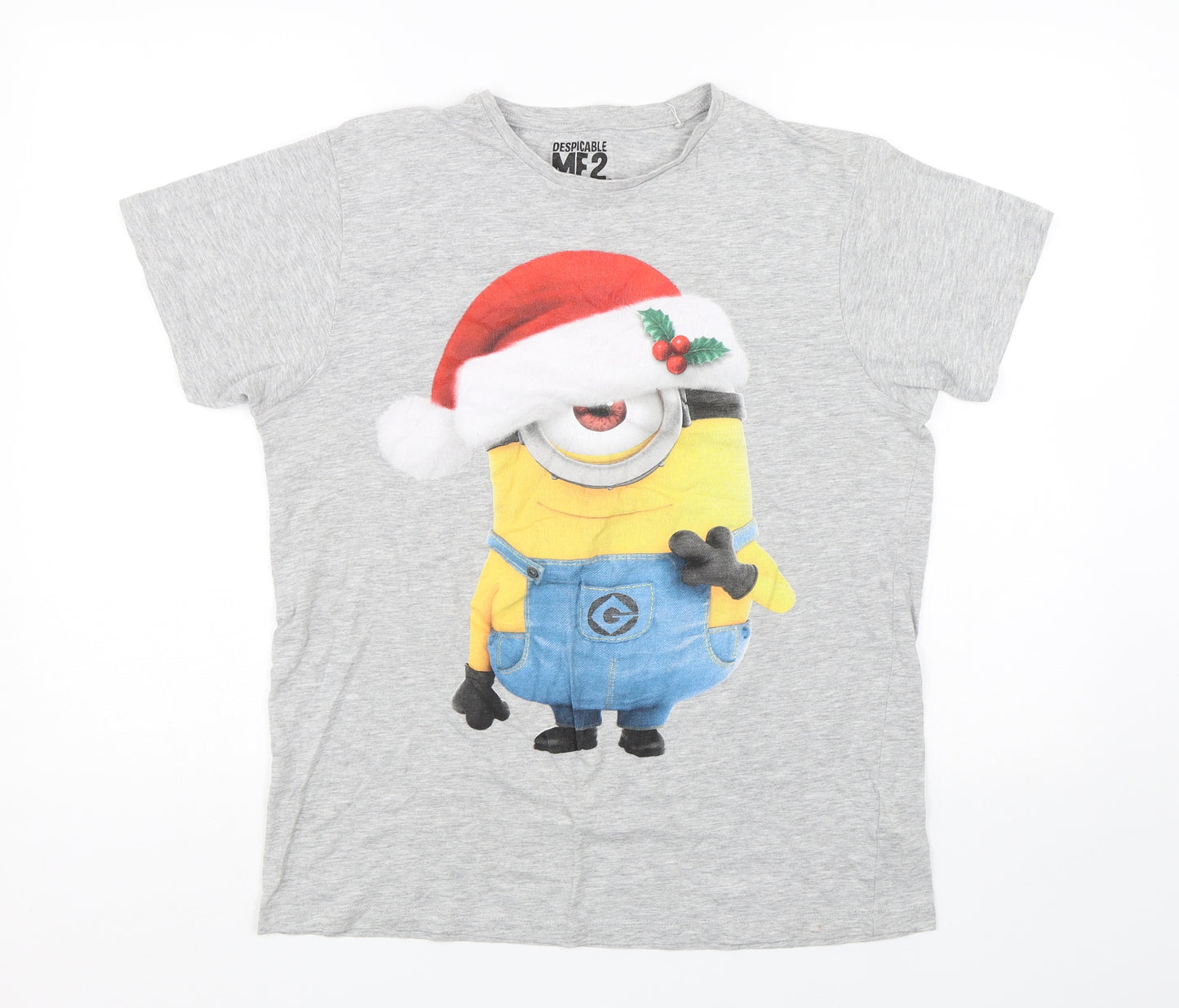 Cedar Wood State Mens Grey    T-Shirt Size M  - Christmas
