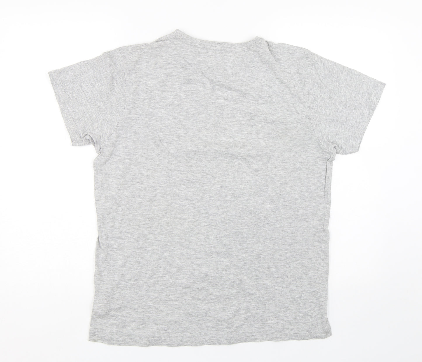 Cedar Wood State Mens Grey    T-Shirt Size M  - Christmas