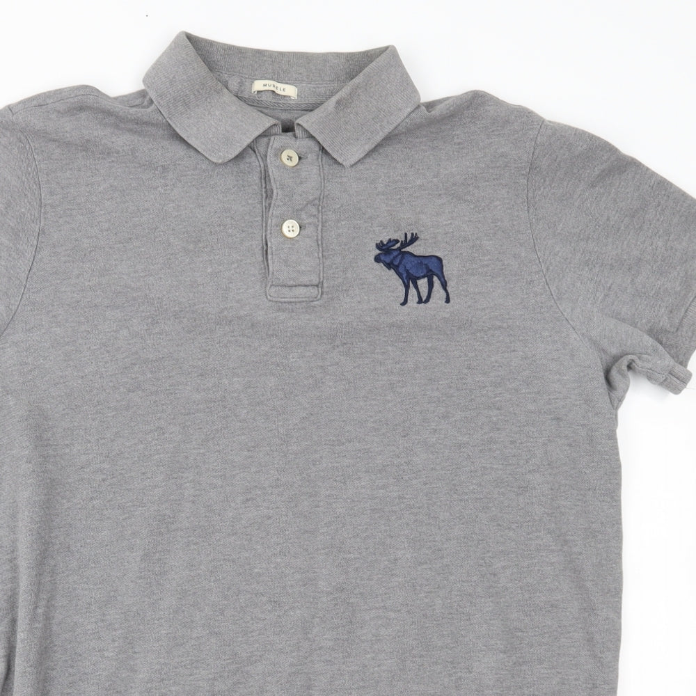Abercrombie & Fitch Mens Grey    Polo Size 2XL  - muscle fit