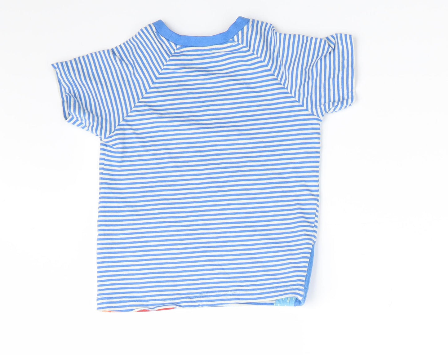 Nutmeg Boys Blue Striped  Basic T-Shirt Size 2-3 Years  - Dinasour Motifs