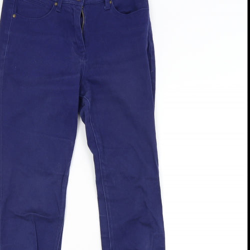 M&CO. Womens Blue   Straight Jeans Size 10 L30 in