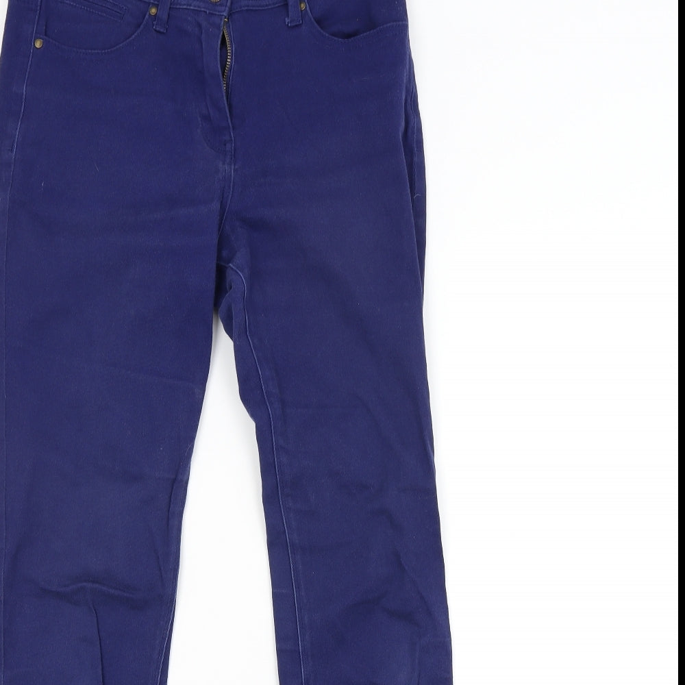 M&CO. Womens Blue   Straight Jeans Size 10 L30 in
