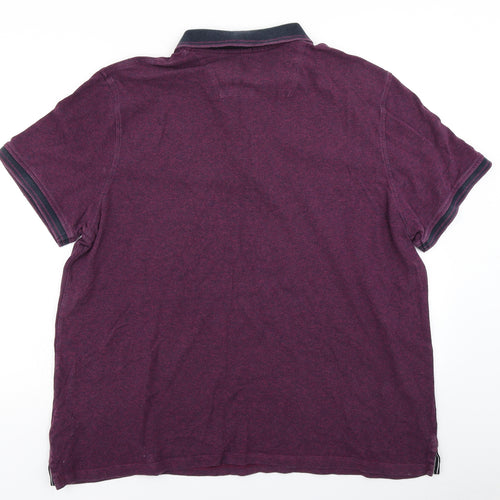 Maine Mens Purple    Polo Size XL