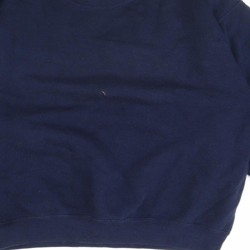 the lakes Mens Blue   Pullover Jumper Size S