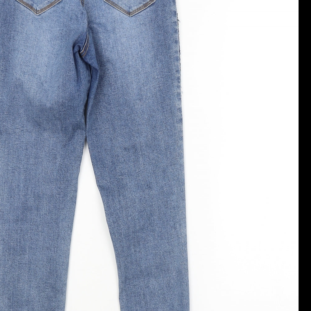 /DENIM Womens Blue Argyle/Diamond  Skinny Jeans Size 10 L26 in