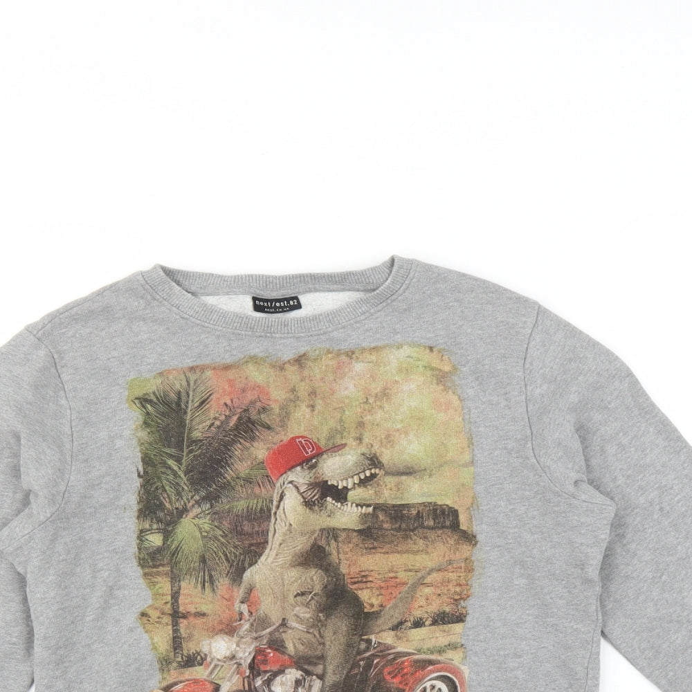 NEXT Boys Grey   Pullover Sweatshirt Size 10 Years  - Dinosaur