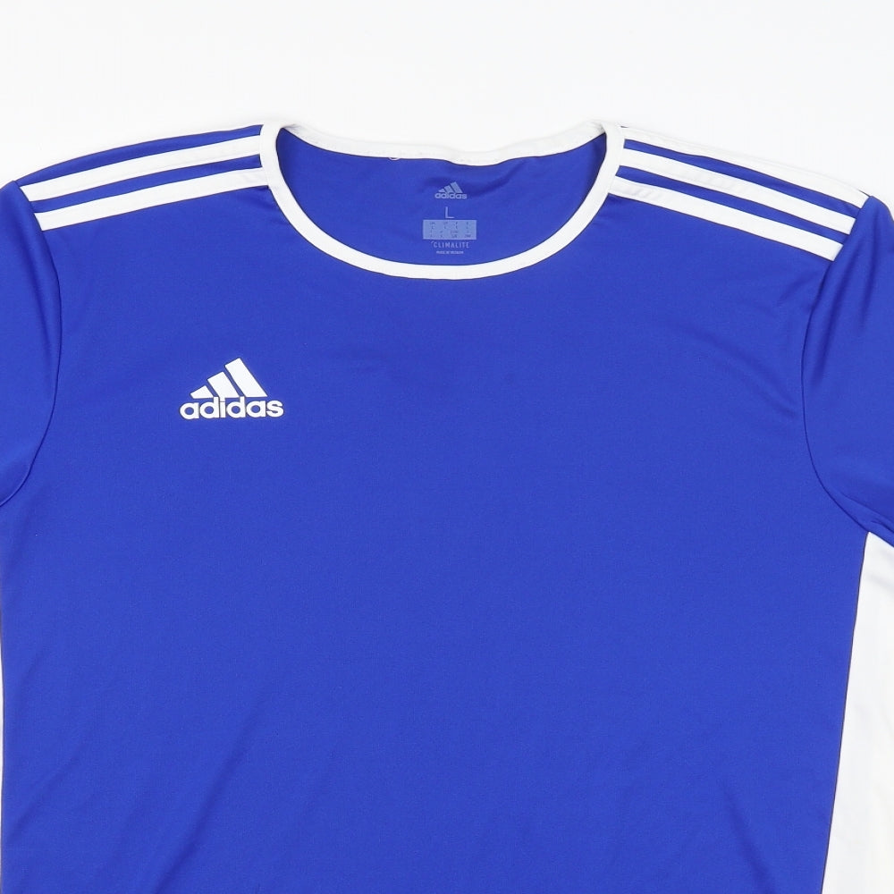 adidas Mens Blue   Basic T-Shirt Size L