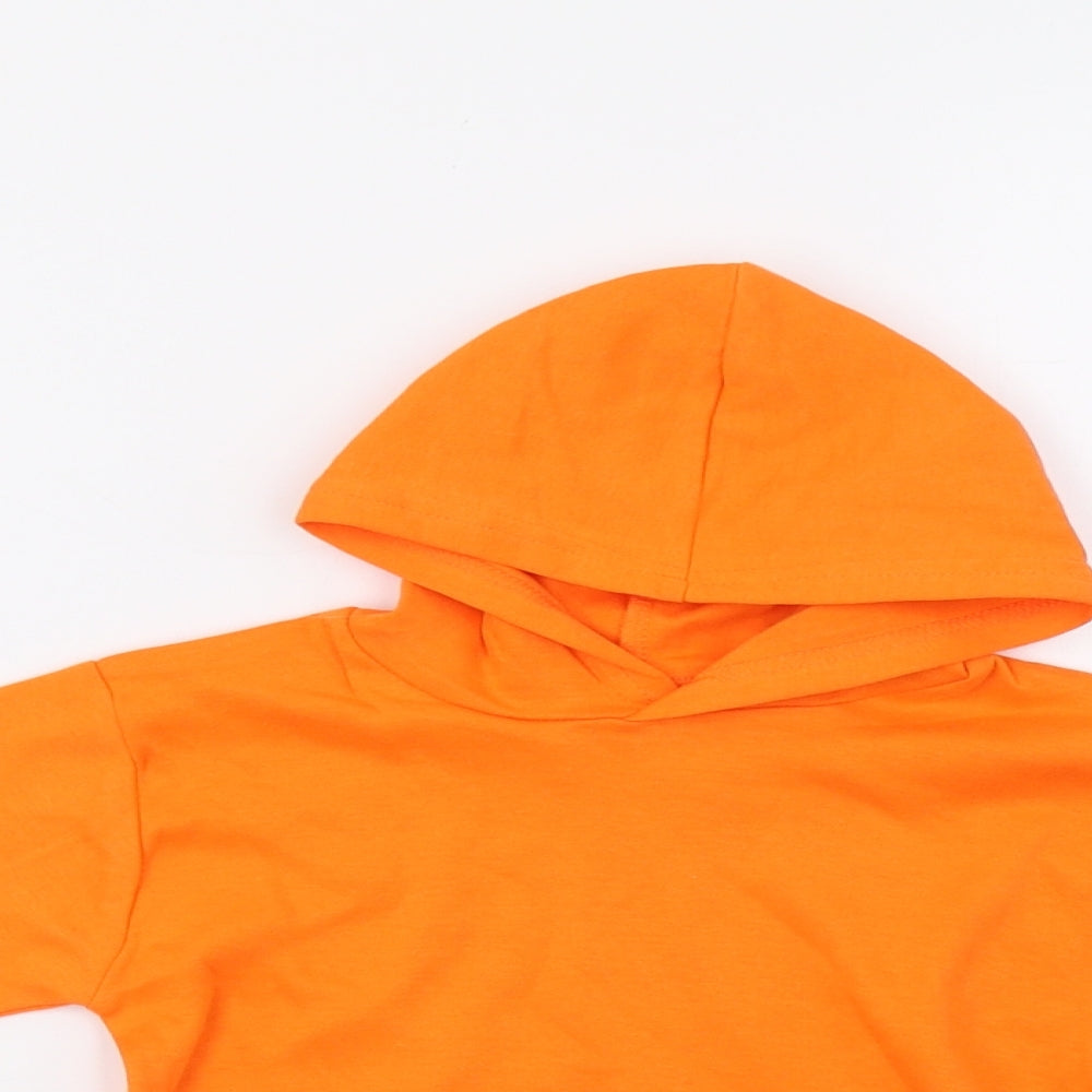 Preworn Boys Orange   Pullover Hoodie Size 2 Years