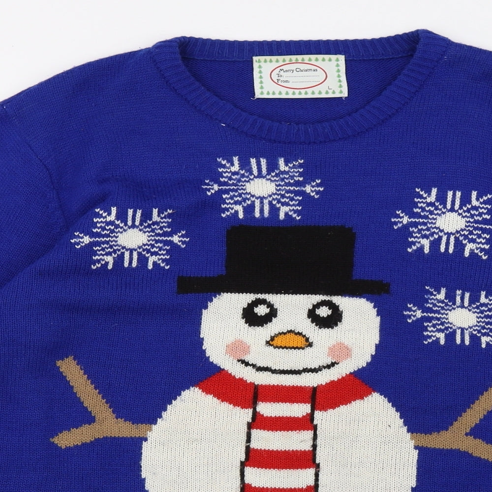 Preworn Mens Blue  Knit Pullover Sweatshirt Size L  - christmas