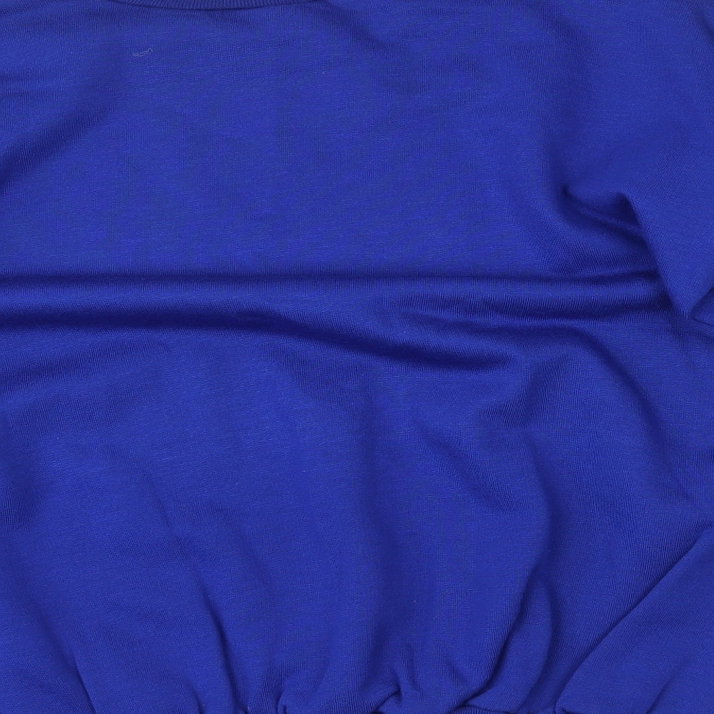capricorn Mens Blue   Pullover Jumper Size L