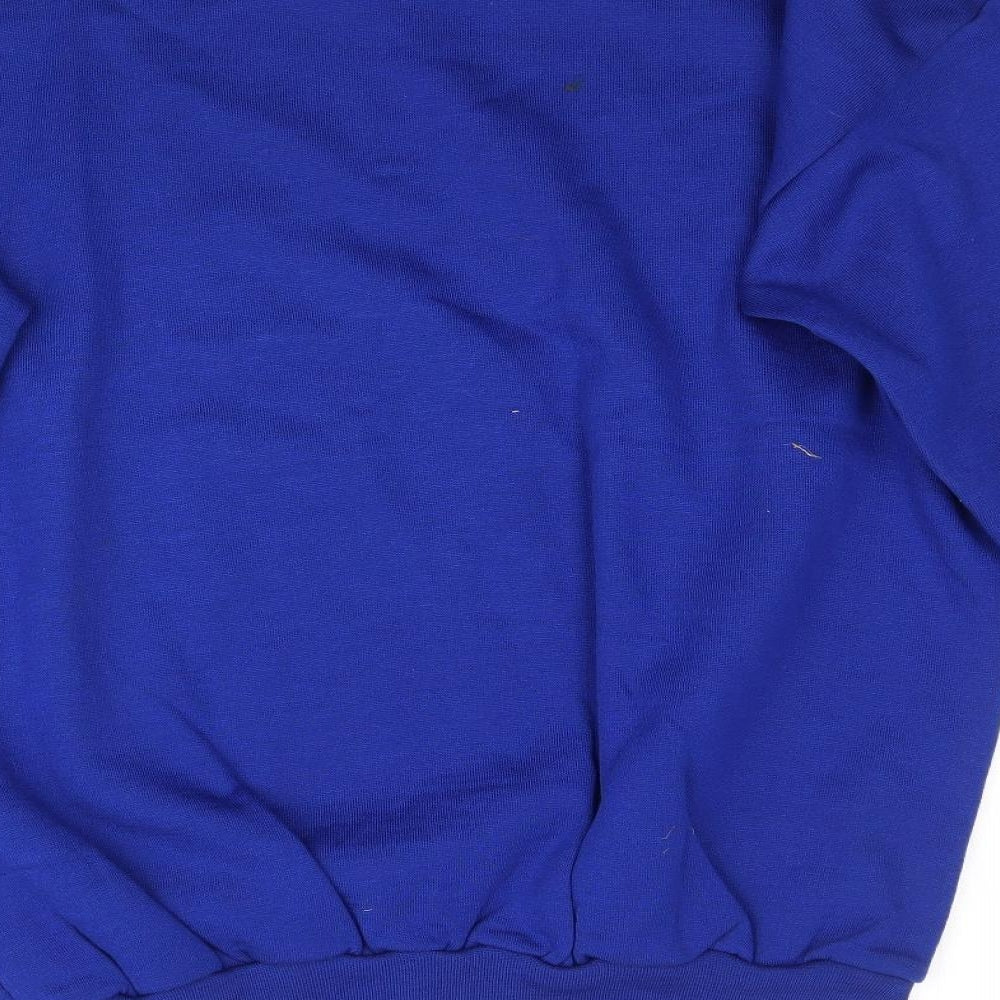 Capricorn Mens Blue   Pullover Sweatshirt Size L
