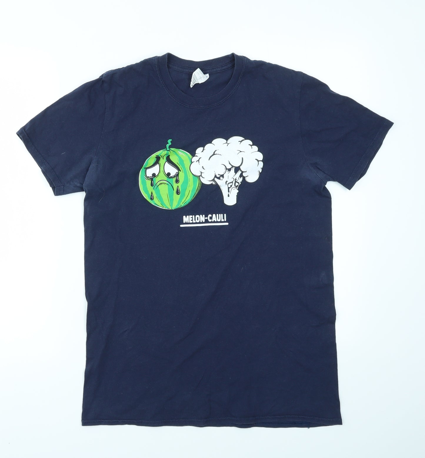 Gildan Mens Blue    T-Shirt Size M