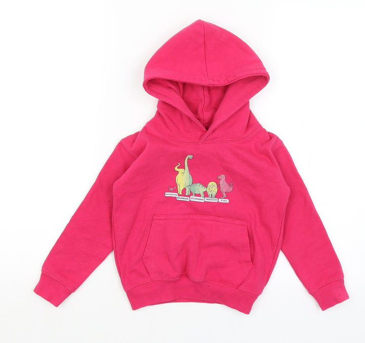 AWD Girls Pink Pullover Hoodie Size 2 Years - Dinosaurs