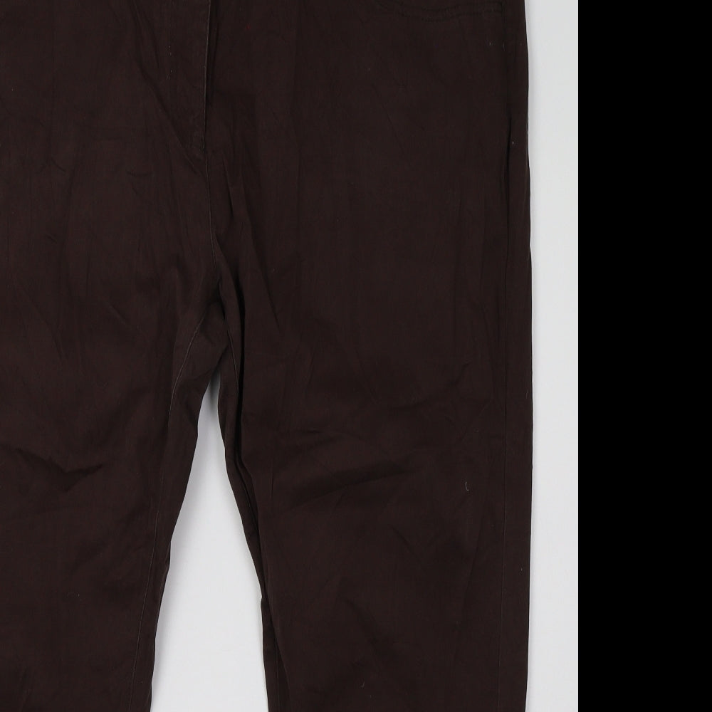 outfit classic Womens Brown   Trousers  Size 20 L28 in