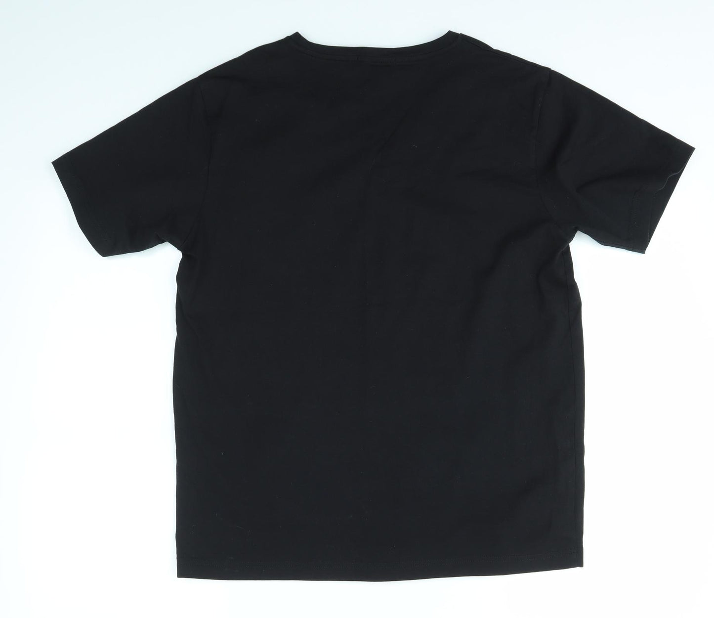 GREENLAND Mens Black    T-Shirt Size L  - EVEREST NEPAL