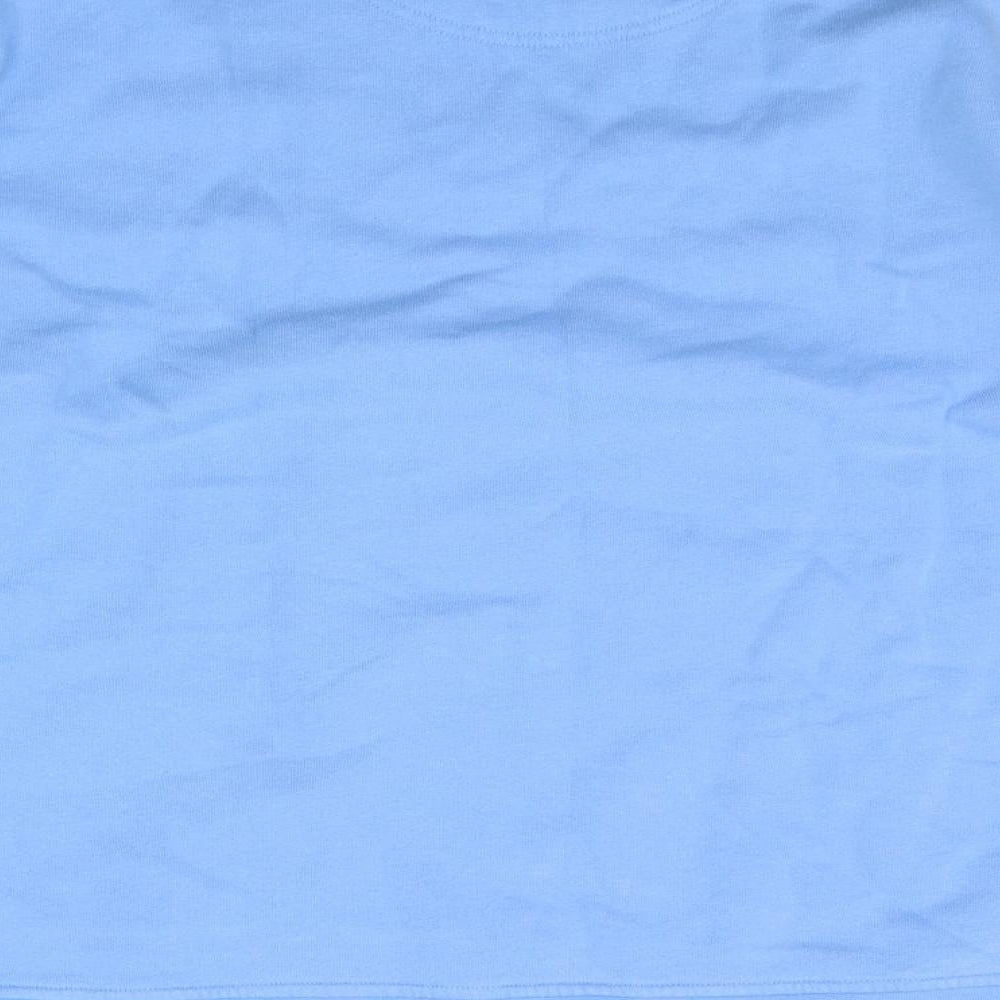 Hawkshead Mens Blue   Pullover Jumper Size 2XL