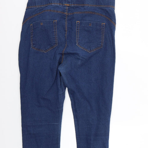 Denim & Co. Womens Blue   Skinny Jeans Size 12 L24 in
