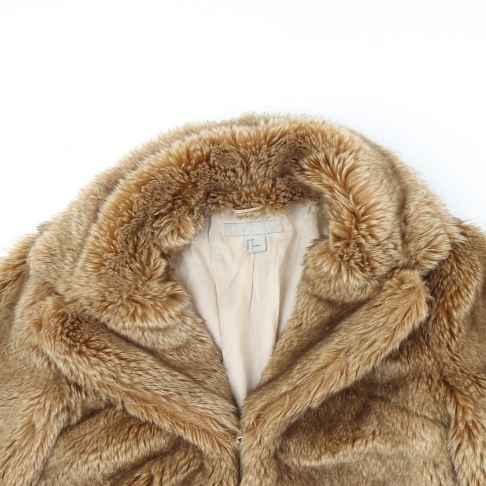 H&M Womens Brown   Jacket  Size 8
