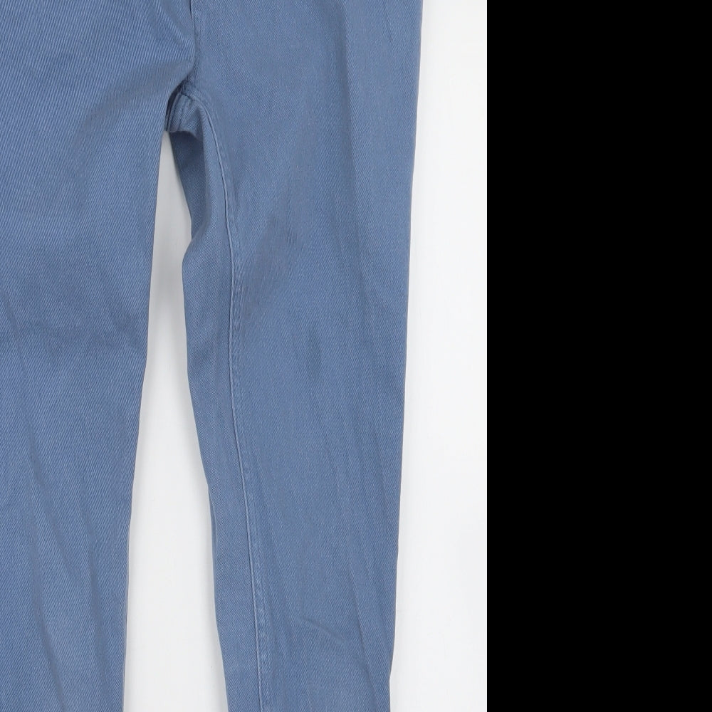 Denim Co. Mens Blue  Denim Skinny Jeans Size 30 in L30 in