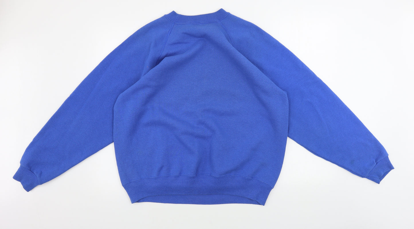 Hanes  Mens Blue   Pullover Jumper Size XL