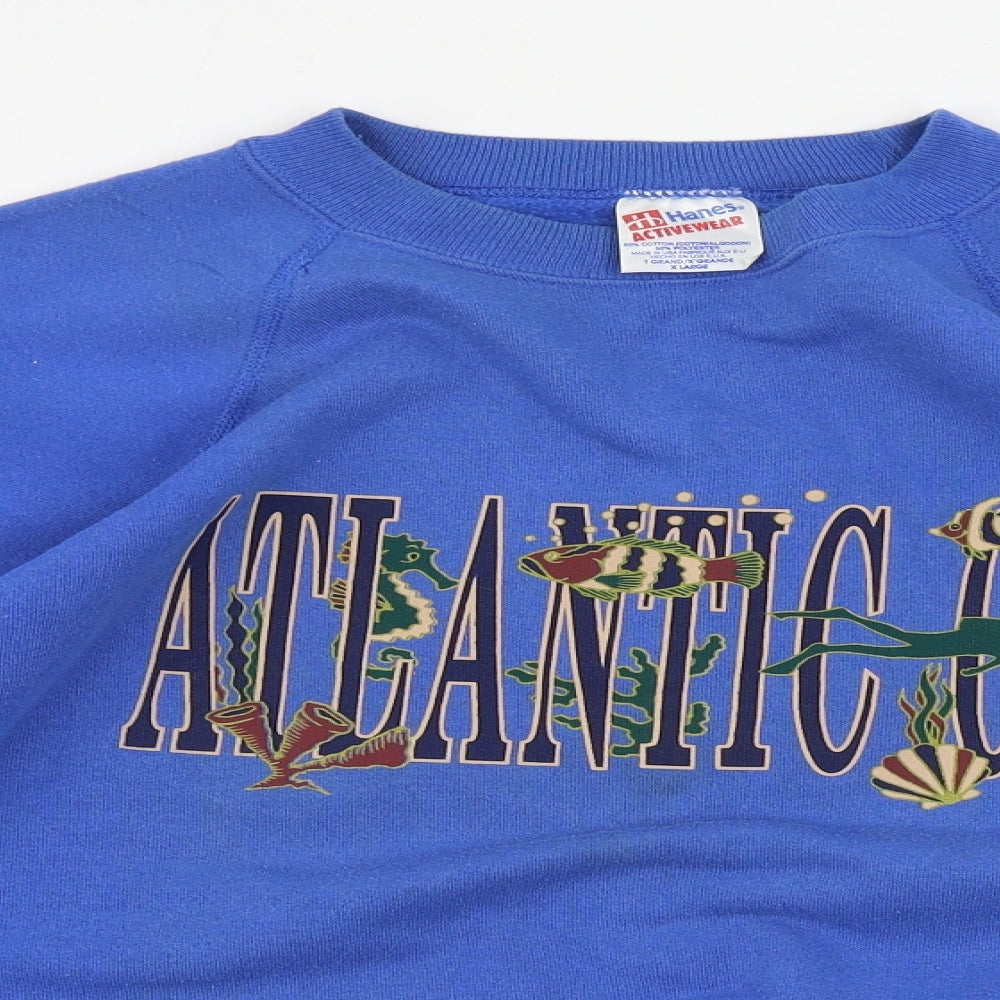 Hanes  Mens Blue   Pullover Jumper Size XL