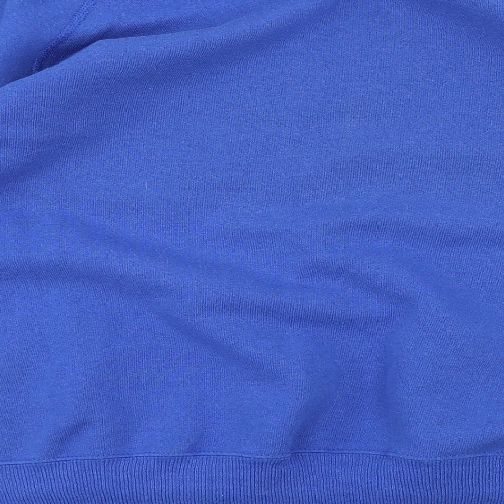 Hanes  Mens Blue   Pullover Jumper Size XL