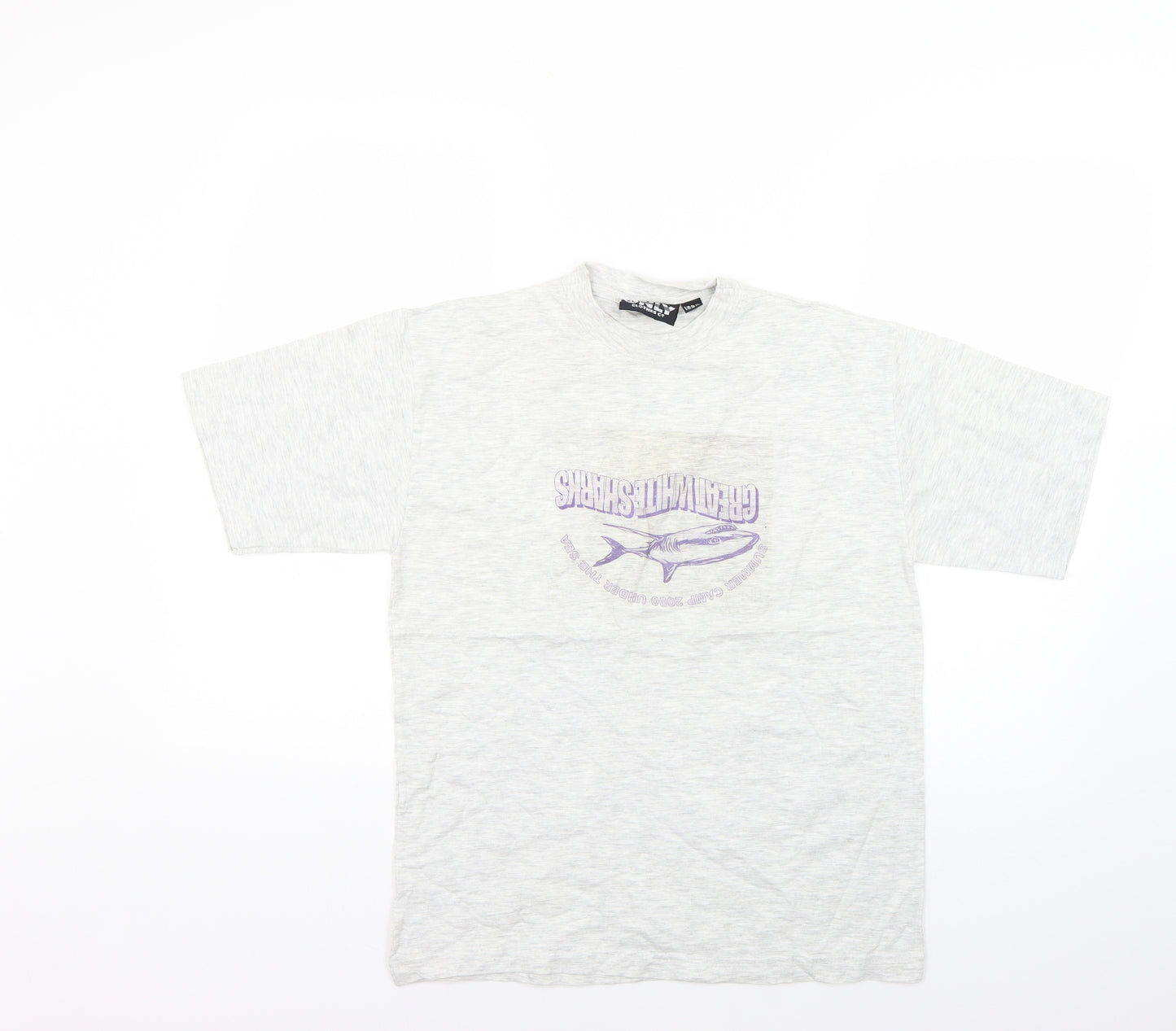 the only clothes Boys Grey   Basic T-Shirt Size 12-13 Years