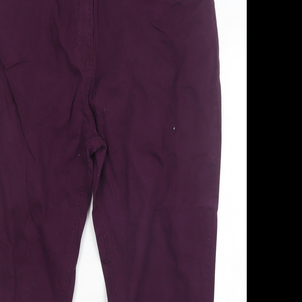 JOIE DE VIVRE Womens Purple  Denim Straight Jeans Size 20 L26 in