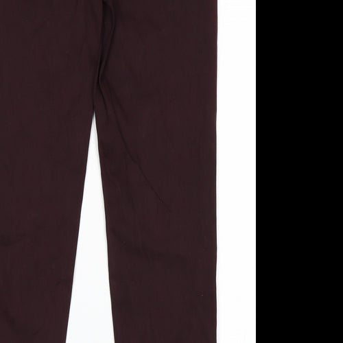Preworn Womens Purple   Skinny Jeans Size 34 in L29 in