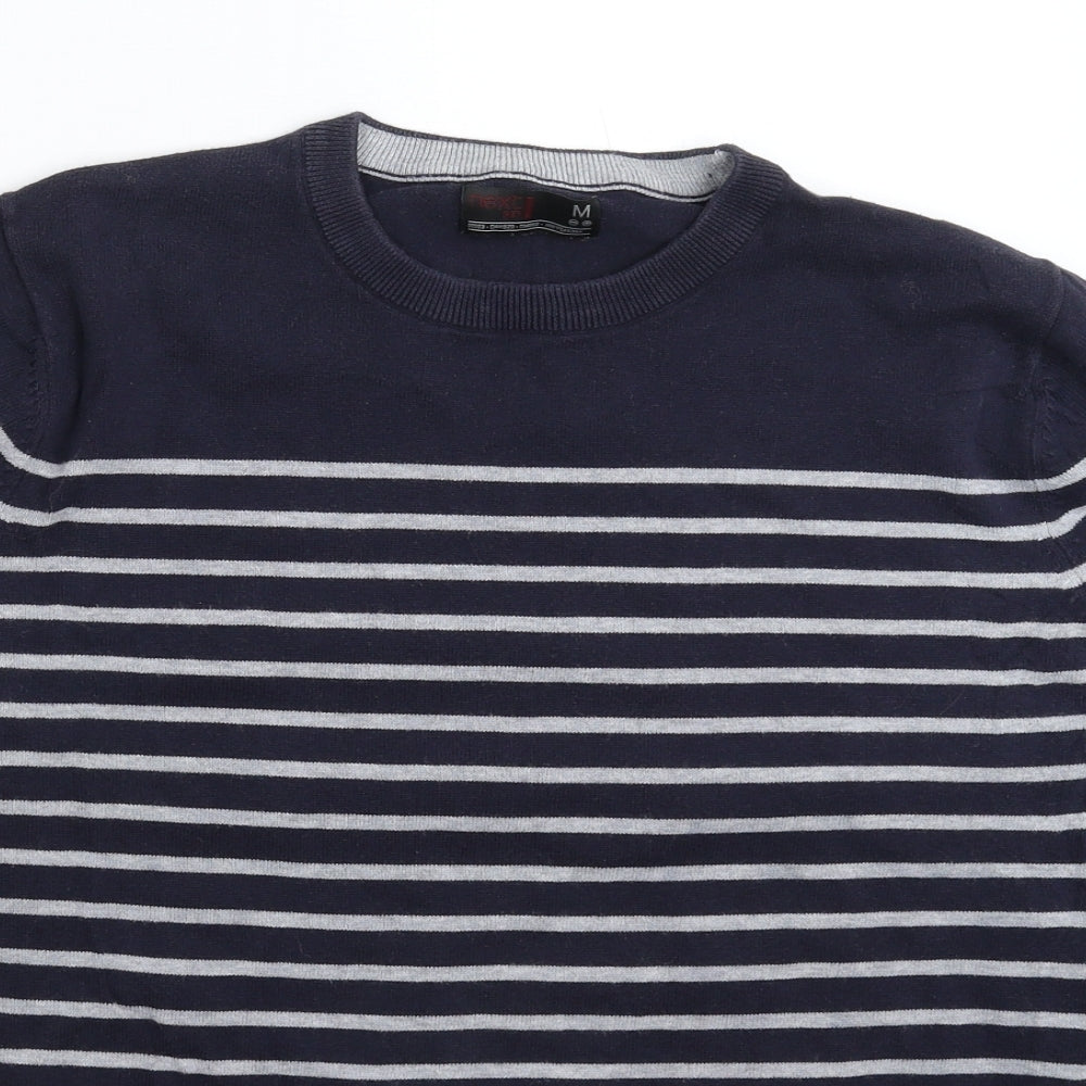 NEXT Mens Blue Striped Knit Pullover Jumper Size M