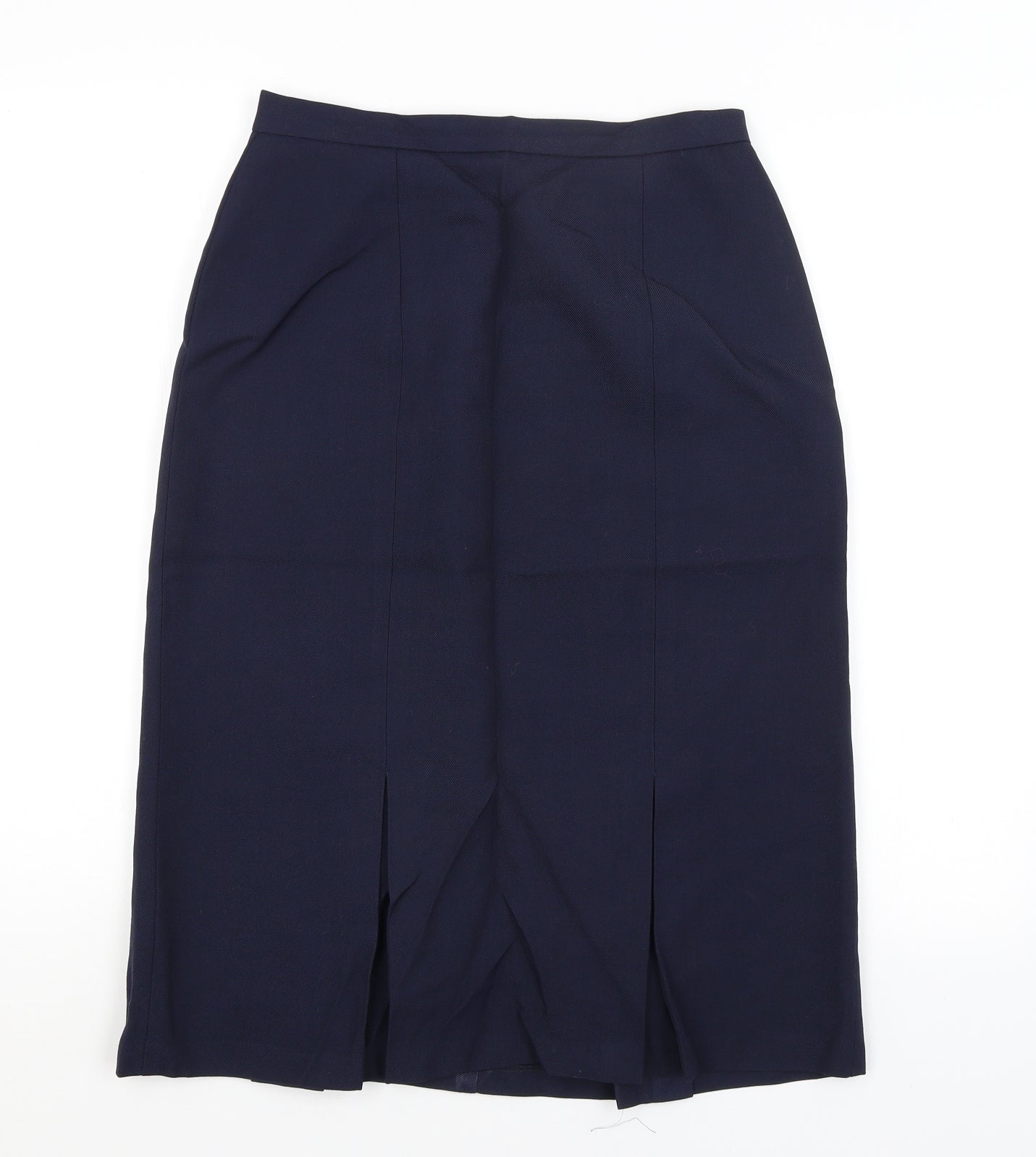 Hunter Carson Womens Blue   Pleated Skirt Size 12