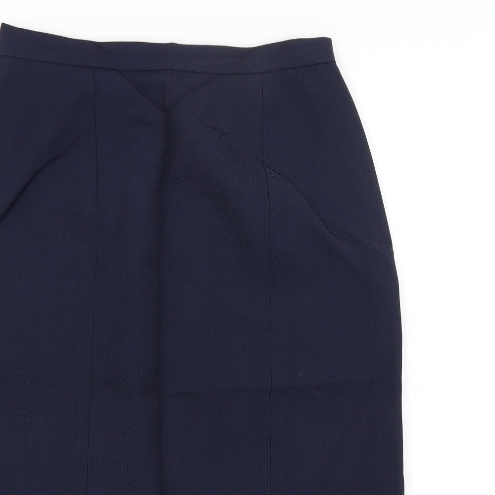 Hunter Carson Womens Blue   Pleated Skirt Size 12