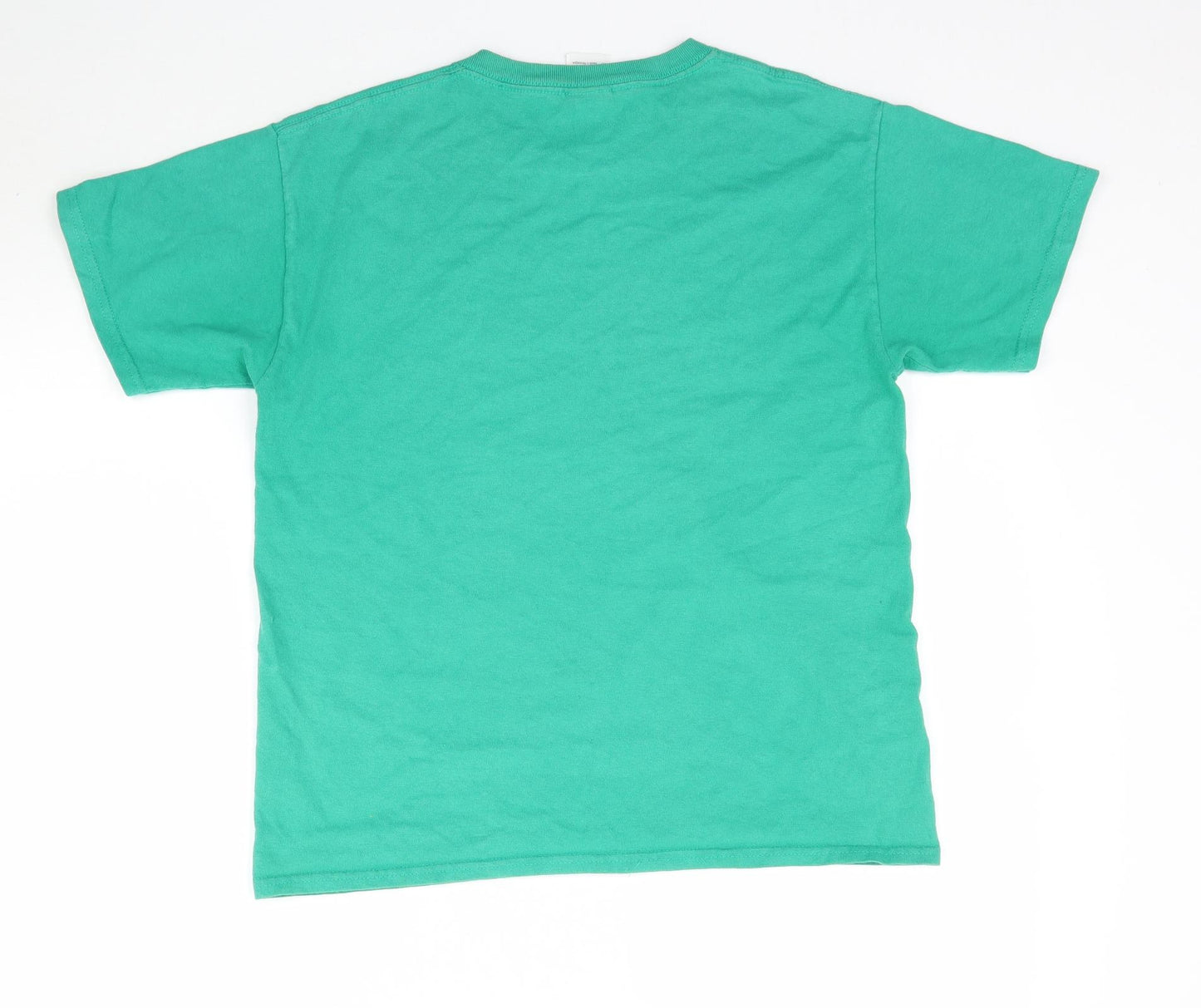 Gildan Boys Green   Basic T-Shirt Size L  - Frost Valley