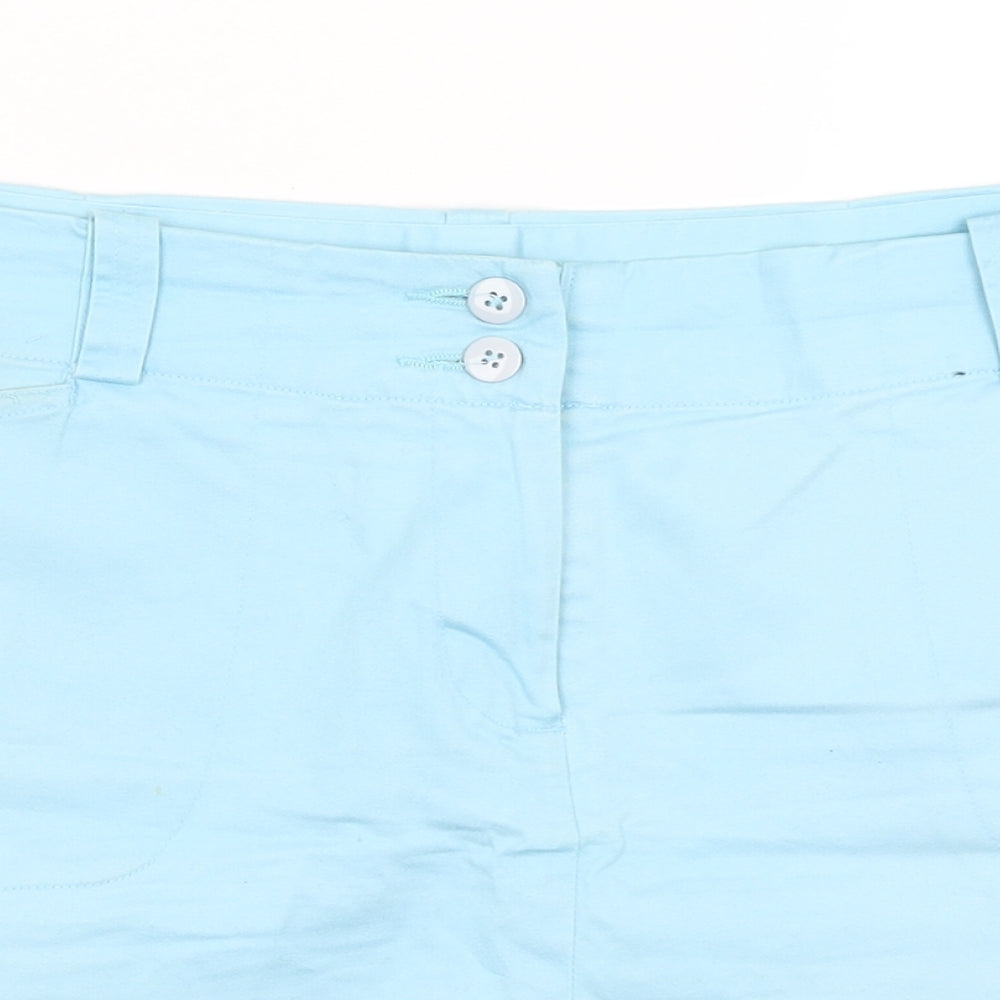 PGA TOUR Womens Blue   A-Line Skirt Size 16