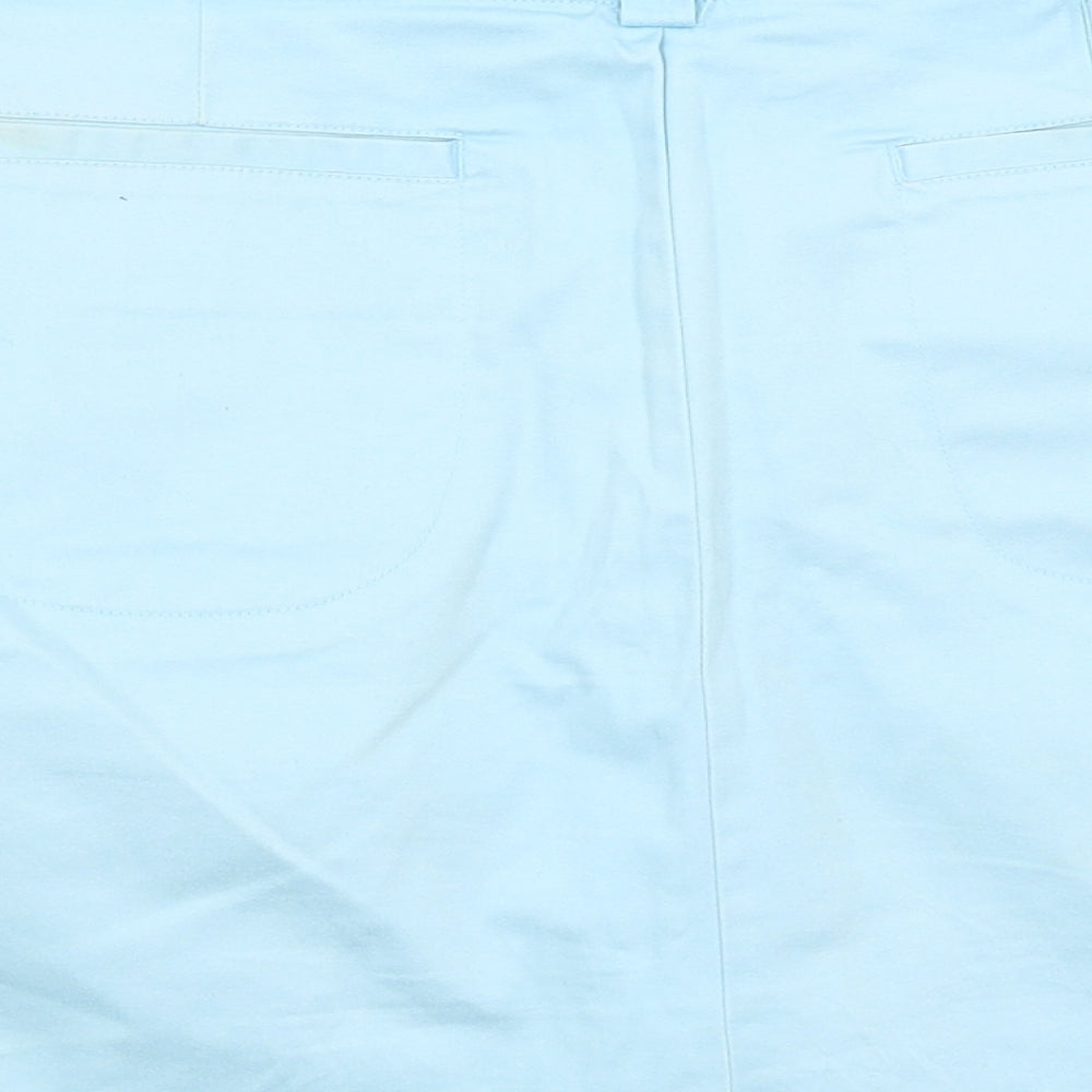 PGA TOUR Womens Blue   A-Line Skirt Size 16