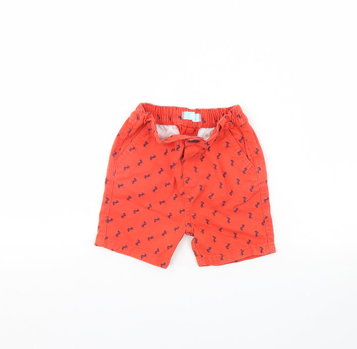 Little Rebel Boys Red Animal Print  Chino Shorts Size 2 Years - Dinosaur