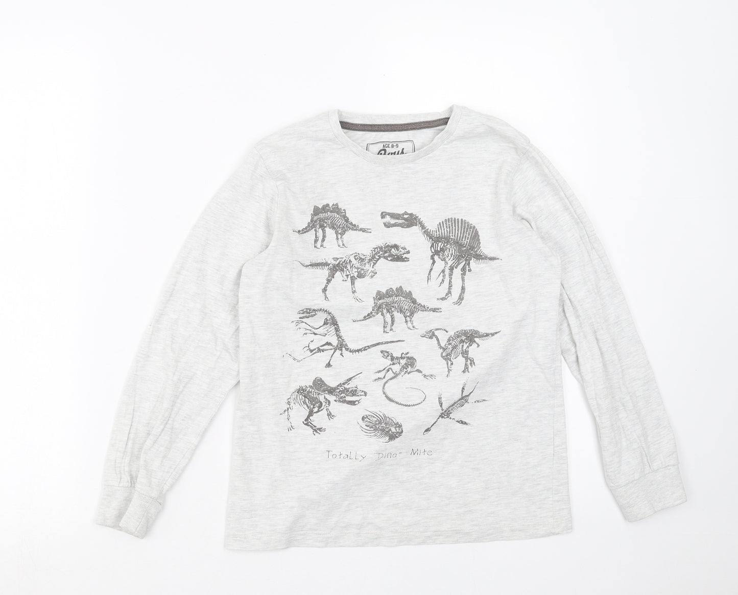 Primark Boys Grey   Basic T-Shirt Size 8-9 Years  - dinosaur