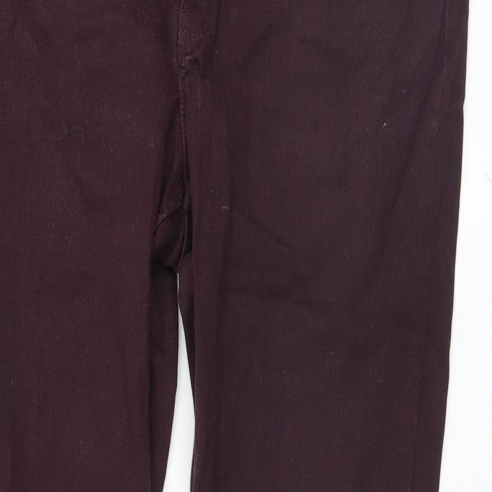 Logg Womens Purple   Straight Jeans Size 14 L29 in