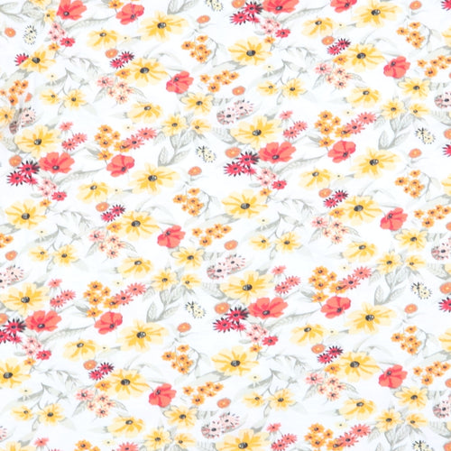 Nutmeg Womens Multicoloured Floral  Basic T-Shirt Size 22