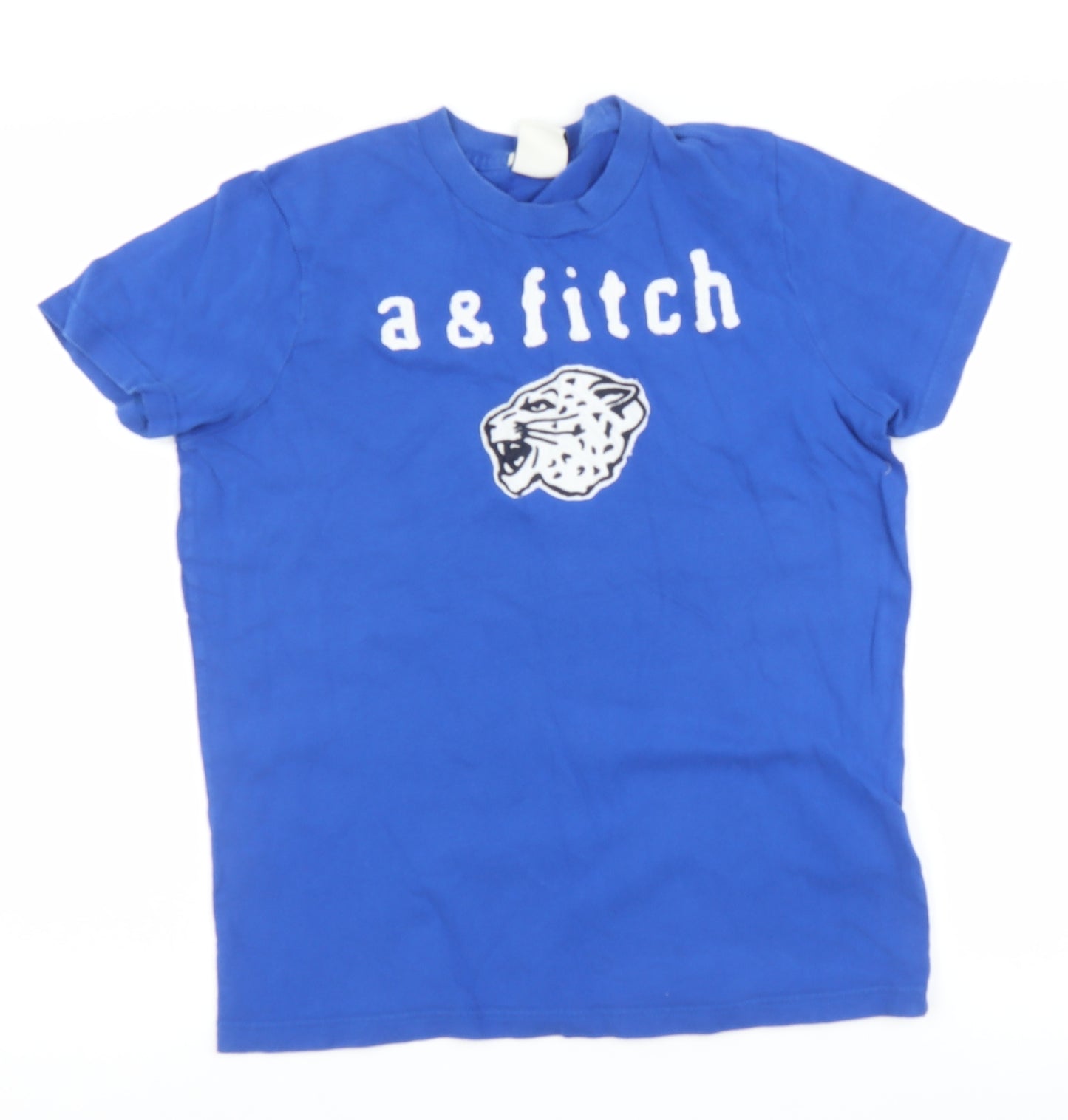 Abercrombie & Fitch Boys Blue   Basic T-Shirt Size XL